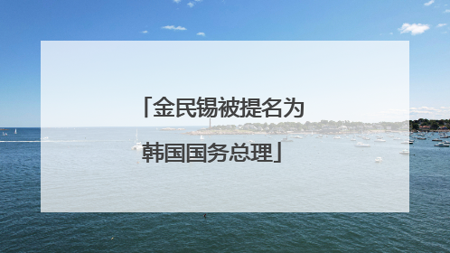 金民锡被提名为韩国国务总理