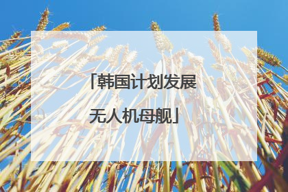 韩国计划发展无人机母舰