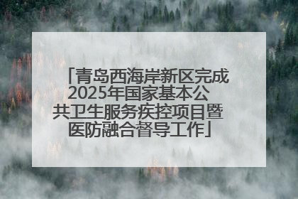 青岛西海岸新区完成2025年国家基本公共卫生服务疾控项目暨医防融合督导工作