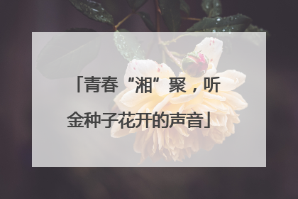 青春“湘”聚，听金种子花开的声音