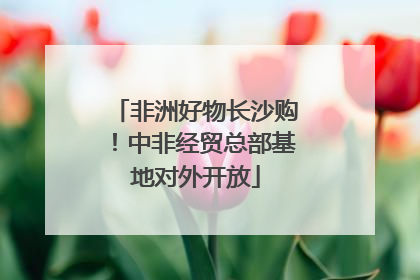 非洲好物长沙购！中非经贸总部基地对外开放