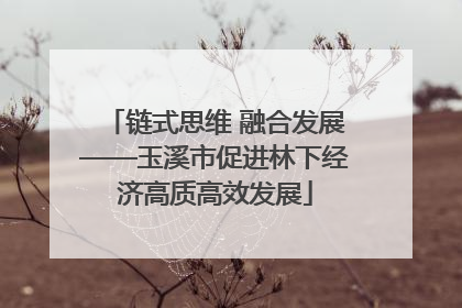 链式思维 融合发展——玉溪市促进林下经济高质高效发展