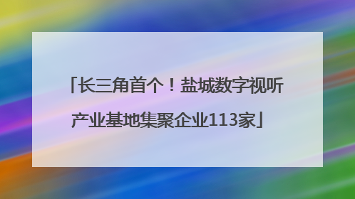 长三角首个！盐城数字视听产业基地集聚企业113家