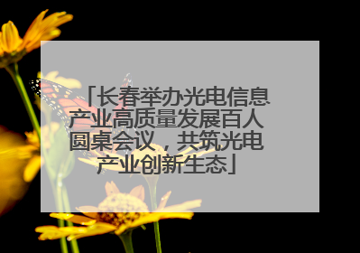 长春举办光电信息产业高质量发展百人圆桌会议，共筑光电产业创新生态