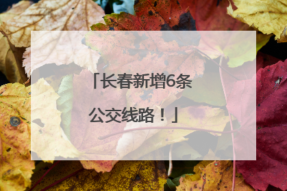 长春新增6条公交线路！