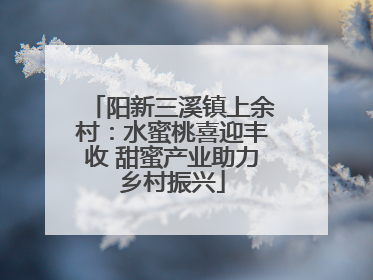 阳新三溪镇上余村：水蜜桃喜迎丰收 甜蜜产业助力乡村振兴