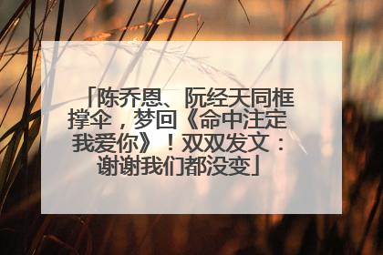 陈乔恩、阮经天同框撑伞，梦回《命中注定我爱你》！双双发文：谢谢我们都没变