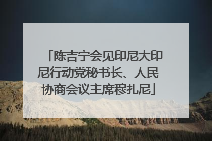 陈吉宁会见印尼大印尼行动党秘书长、人民协商会议主席穆扎尼