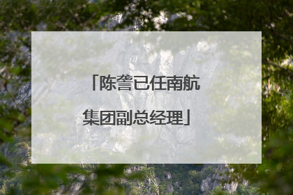 陈詟已任南航集团副总经理