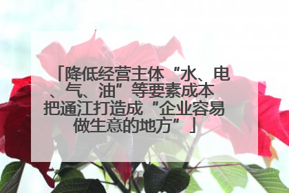 降低经营主体“水、电、气、油”等要素成本 把通江打造成“企业容易做生意的地方”