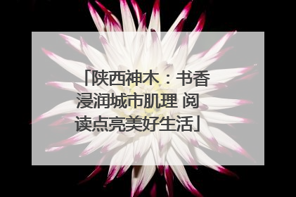 陕西神木：书香浸润城市肌理 阅读点亮美好生活
