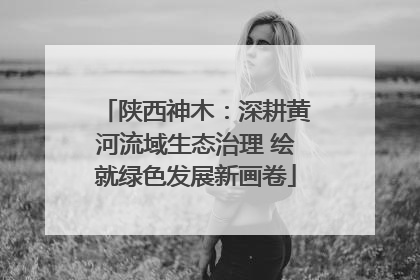 陕西神木：深耕黄河流域生态治理 绘就绿色发展新画卷
