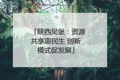 陕西吴堡：资源共享惠民生 创新模式促发展