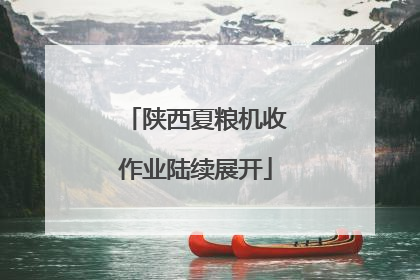 陕西夏粮机收作业陆续展开