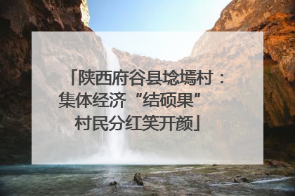陕西府谷县埝墕村：集体经济“结硕果” 村民分红笑开颜