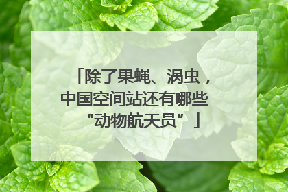 除了果蝇、涡虫，中国空间站还有哪些“动物航天员”