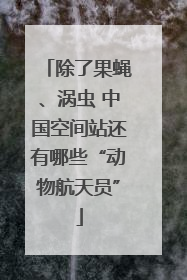 除了果蝇、涡虫 中国空间站还有哪些“动物航天员”