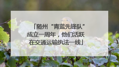 随州“青蓝先锋队”成立一周年，他们活跃在交通运输执法一线