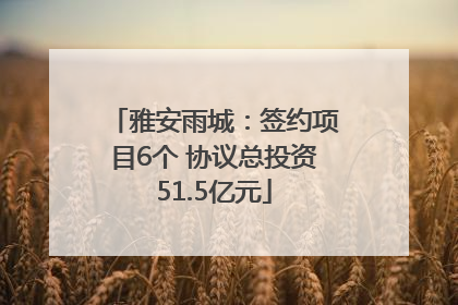 雅安雨城：签约项目6个 协议总投资51.5亿元