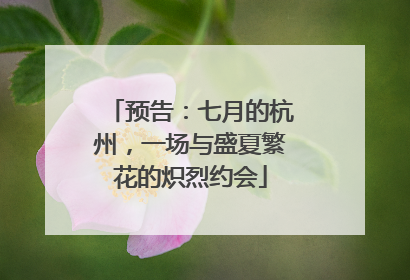 预告：七月的杭州，一场与盛夏繁花的炽烈约会