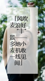 风吹麦浪好“丰”景——多地小麦机收一线见闻