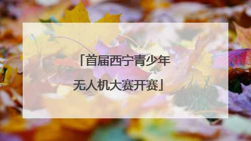 首届西宁青少年无人机大赛开赛