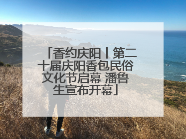 香约庆阳丨第二十届庆阳香包民俗文化节启幕 潘鲁生宣布开幕
