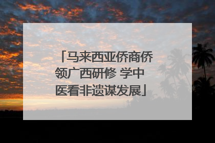 马来西亚侨商侨领广西研修 学中医看非遗谋发展