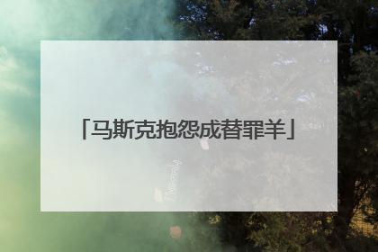 马斯克抱怨成替罪羊