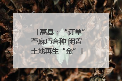 高县：“订单”苎麻巧套种 闲置土地再生“金”