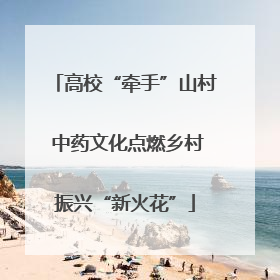 高校“牵手”山村 中药文化点燃乡村振兴“新火花”