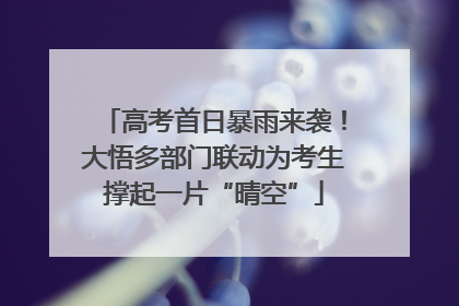 高考首日暴雨来袭！大悟多部门联动为考生撑起一片“晴空”