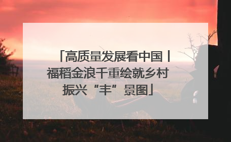 高质量发展看中国丨福稻金浪千重绘就乡村振兴“丰”景图