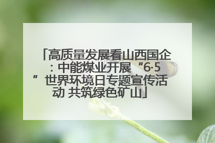 高质量发展看山西国企：中能煤业开展“6·5”世界环境日专题宣传活动 共筑绿色矿山