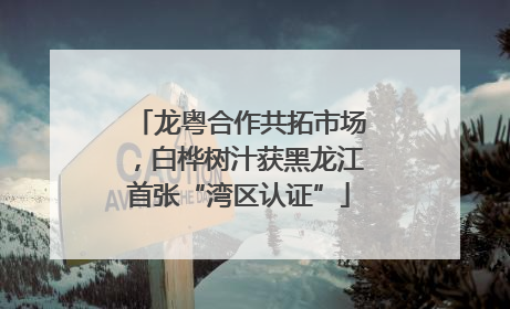 龙粤合作共拓市场，白桦树汁获黑龙江首张“湾区认证”