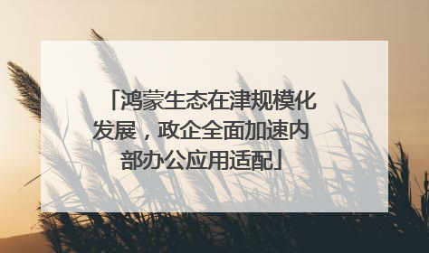鸿蒙生态在津规模化发展，政企全面加速内部办公应用适配
