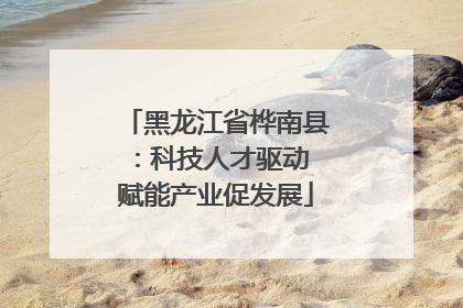 黑龙江省桦南县：科技人才驱动 赋能产业促发展