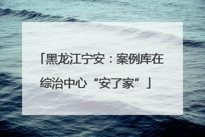黑龙江宁安：案例库在综治中心“安了家”