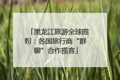 黑龙江旅游全球圈粉：各国旅行商“群聊”合作揽客