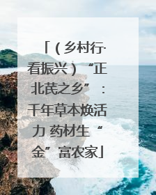 （乡村行·看振兴）“正北芪之乡”：千年草本焕活力 药材生“金”富农家