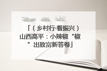 （乡村行·看振兴）山西高平：小辣椒“椒”出致富新答卷