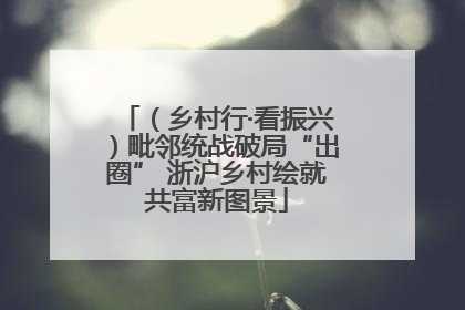 （乡村行·看振兴）毗邻统战破局“出圈” 浙沪乡村绘就共富新图景