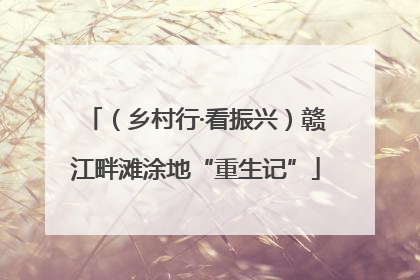 （乡村行·看振兴）赣江畔滩涂地“重生记”