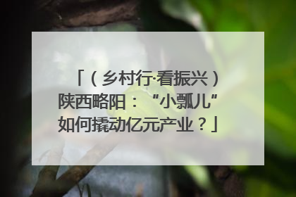 （乡村行·看振兴）陕西略阳：“小瓢儿”如何撬动亿元产业？