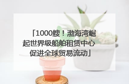 1000艘！渤海湾崛起世界级船舶租赁中心 促进全球贸易流动