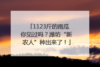 1123斤的南瓜你见过吗？潍坊“新农人”种出来了！