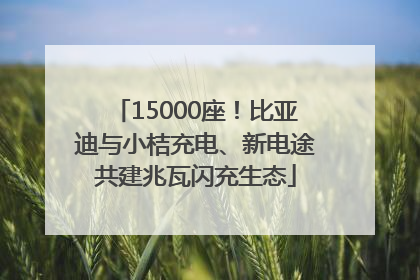 15000座！比亚迪与小桔充电、新电途共建兆瓦闪充生态