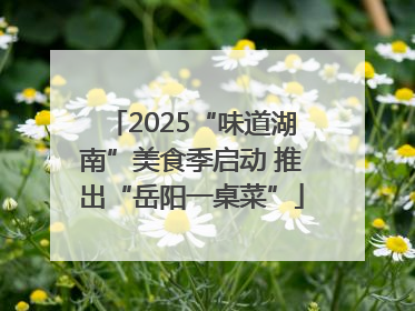 2025“味道湖南”美食季启动 推出“岳阳一桌菜”