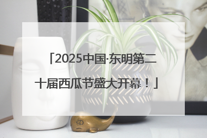 2025中国·东明第二十届西瓜节盛大开幕！