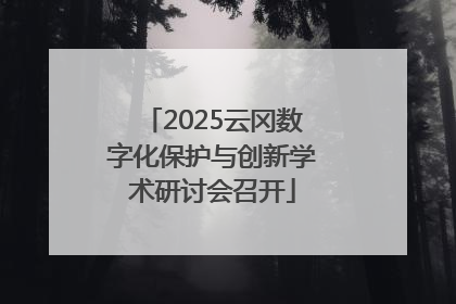 2025云冈数字化保护与创新学术研讨会召开